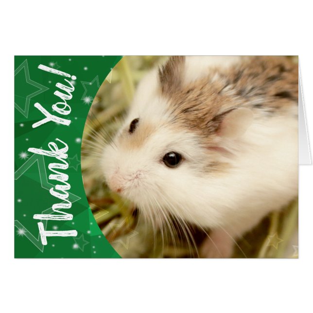Hammyville - Cute Hamster Gracias (Anverso (Horizontal))