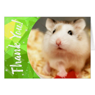 Hammyville - Cute Hamster Gracias