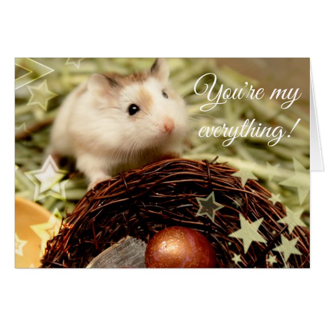 Hammyville - Cute Hamster y Nest (Anverso (Horizontal))
