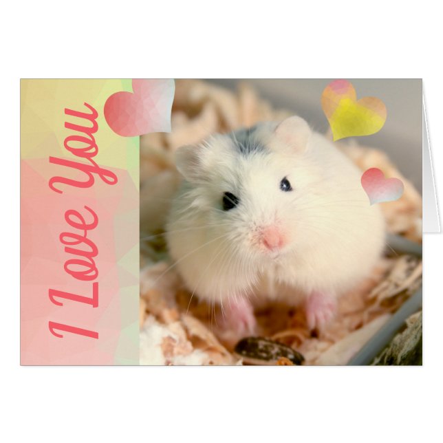 HammyVille - Cute Robo Hamster Valentine (Anverso (Horizontal))