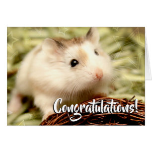 Hammyville - Felicitaciones a Hamster