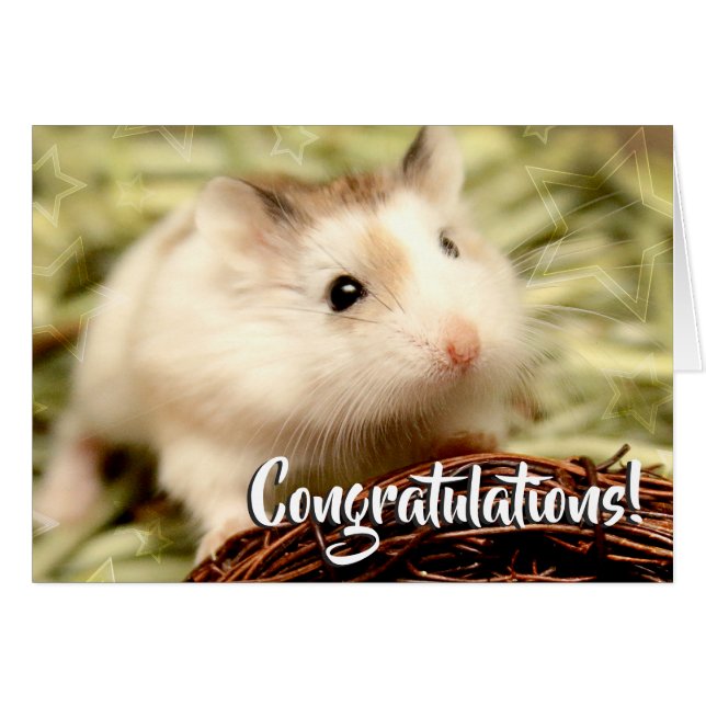 Hammyville - Felicitaciones a Hamster (Anverso (Horizontal))