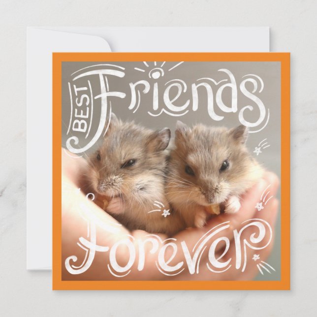 Hammyville - Hamster Best Friends para siempre (Anverso)