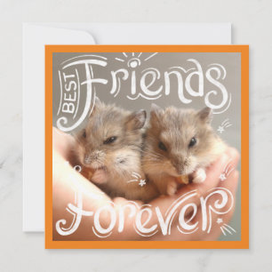 Hammyville - Hamster Best Friends para siempre