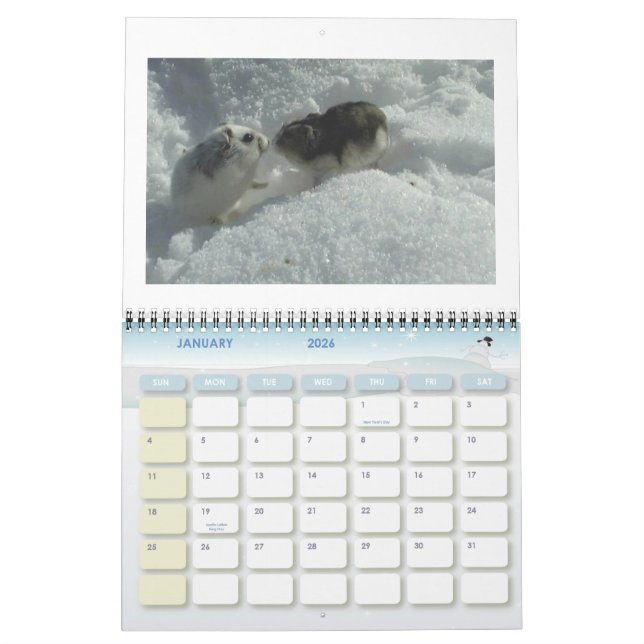 hámster1, HAMSTERS, calendario 2008 (Jan 2026)