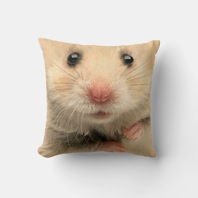 Hámster del mascota de la almohada (Anverso)