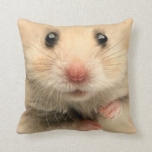 Hámster del mascota de la almohada