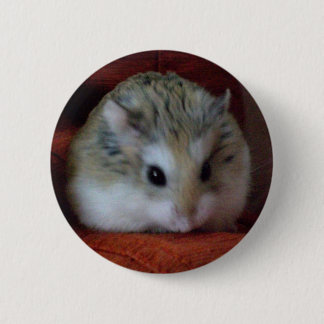 Hámster lindo en un botón - Hammy