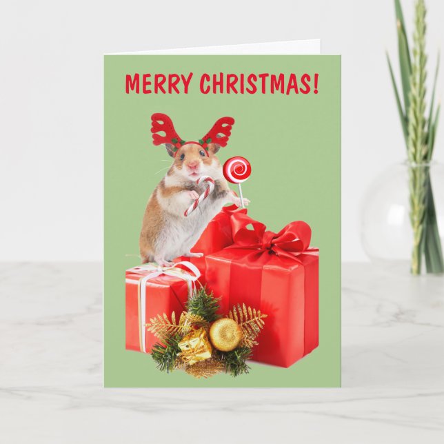 Hamster Y Regalos De Navidad (Anverso)