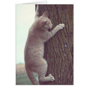 Hang On