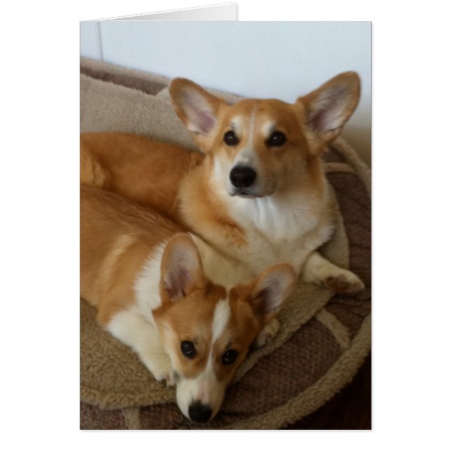 Hank y Milly (Frente)