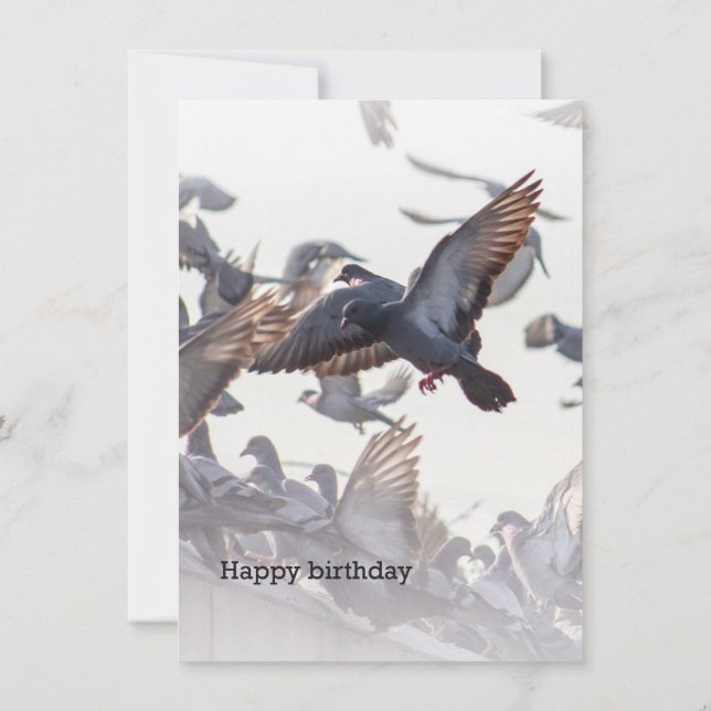Happy Birthday Card for Pigeons (Reverso)