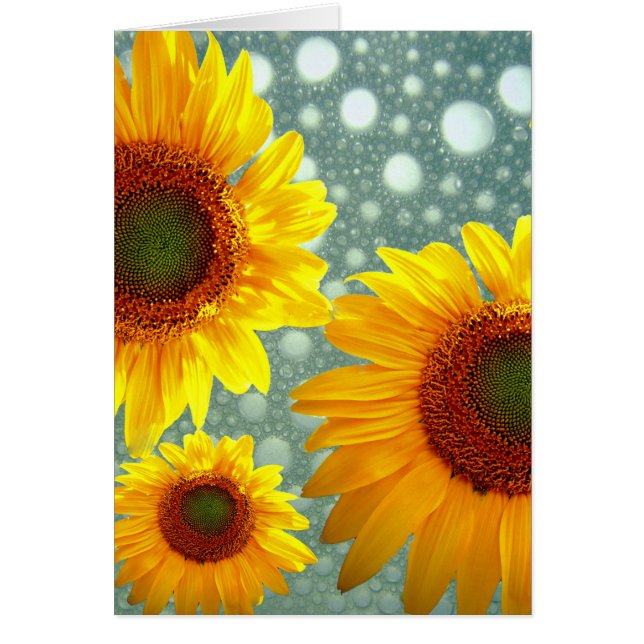 Happy Bubbly Sunflowers (Frente)
