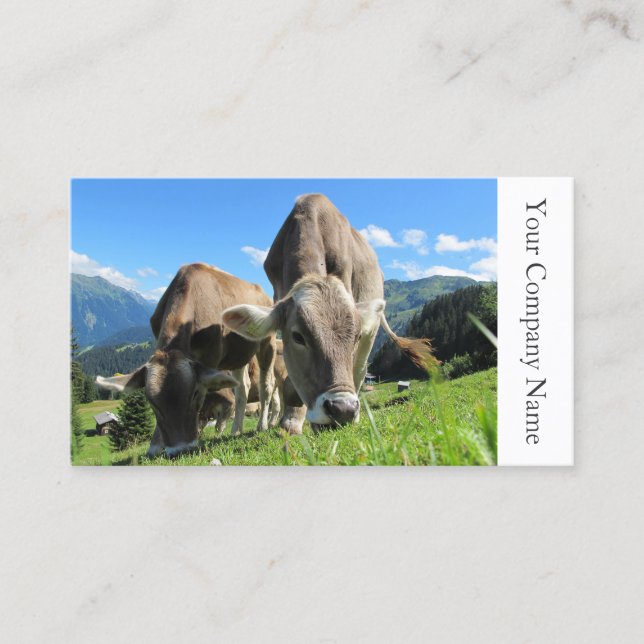 Happy Grazing Cows Photography - Tarjeta de visita (Anverso)