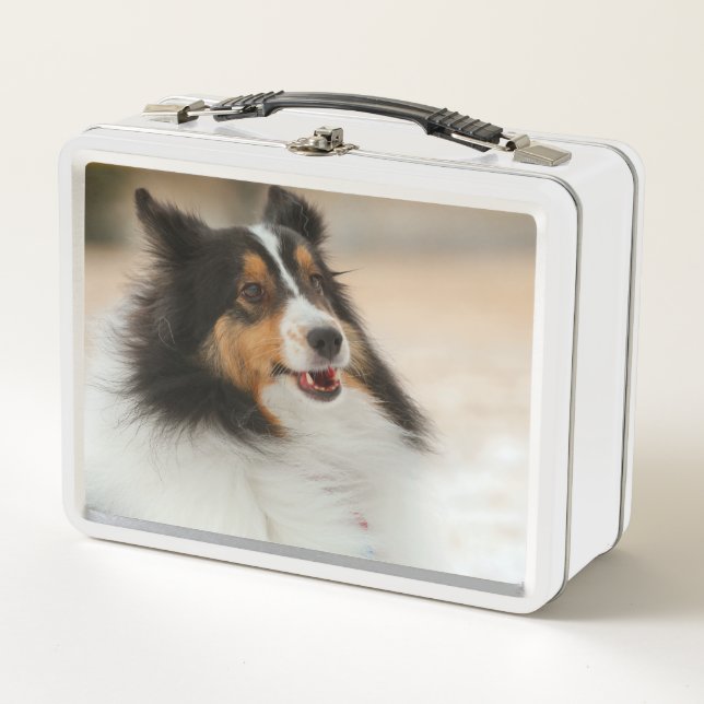 Happy Shelty (Anverso)