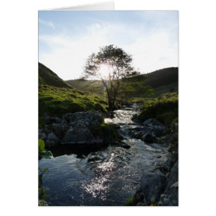 Happy Valley Northumberland, Inglaterra