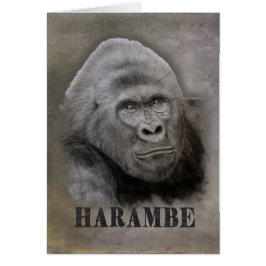 Harambe (dibujo gráfico)