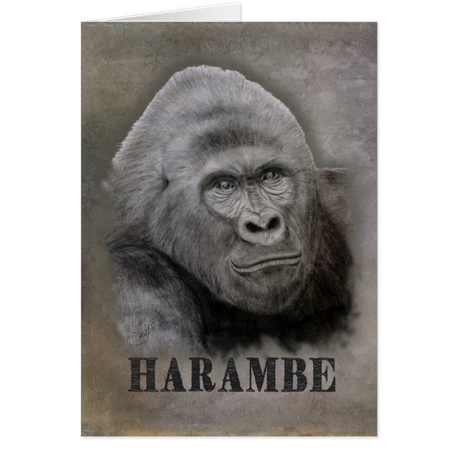 Harambe (dibujo gráfico) (Frente)