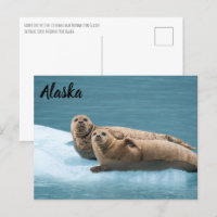 Harbour Sella fiordos kenianos en la postal Alaska