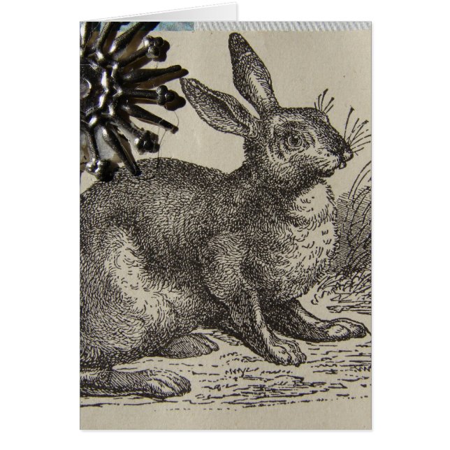 Hare ATC (Frente)