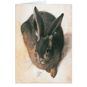 Hare por Albrecht Durer