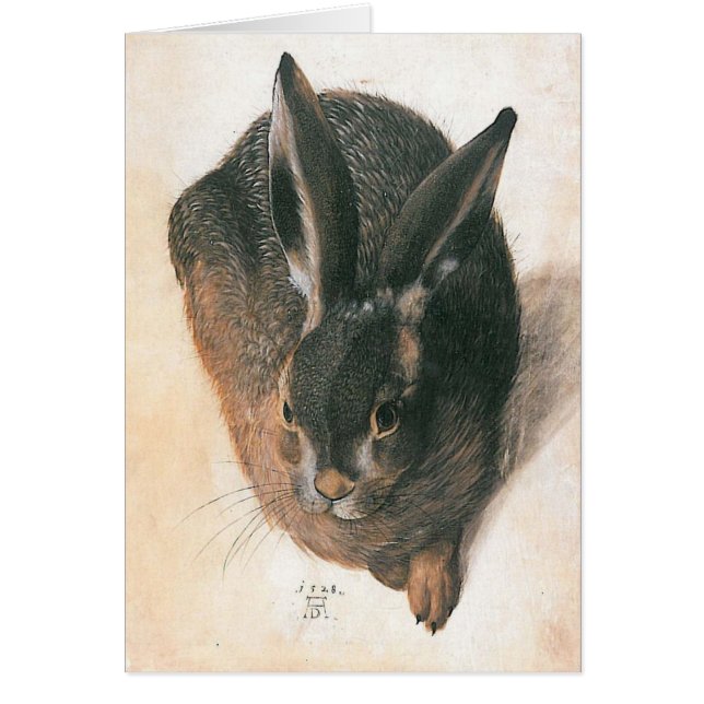 Hare por Albrecht Durer (Frente)