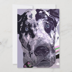 Harlequin Great Dane Card, gran precio!