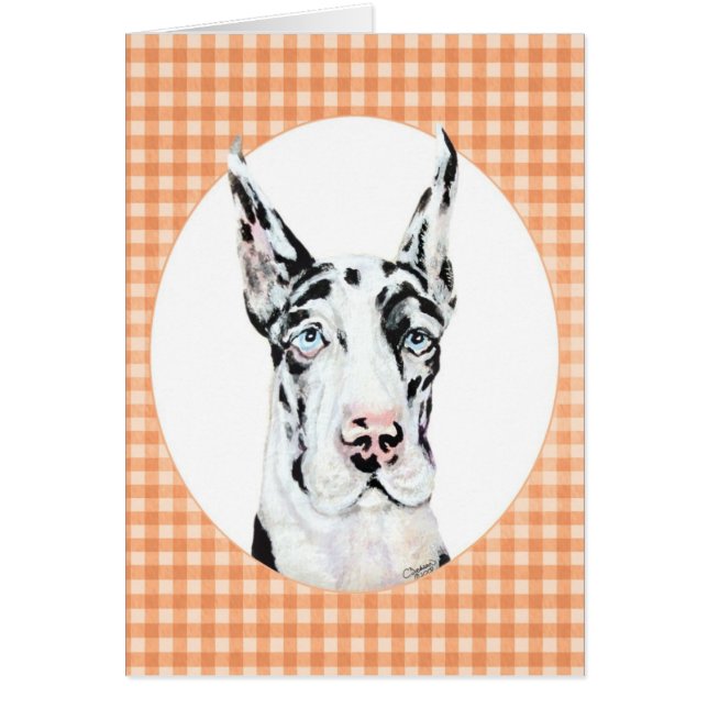 Harlequin Pup Peach (Frente)