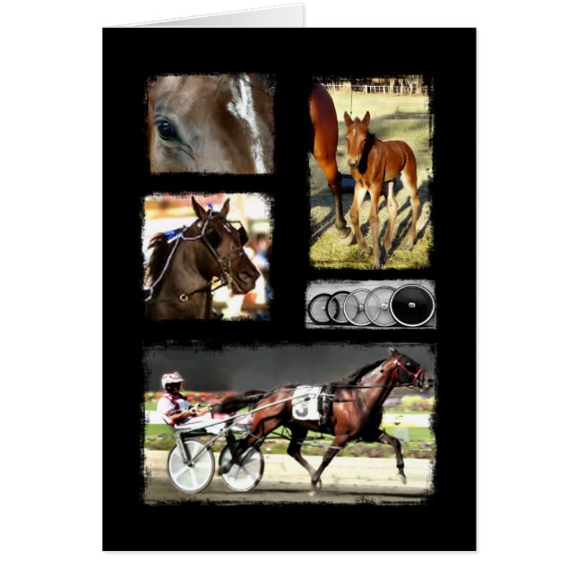 Harness Carreras Sport (Frente)