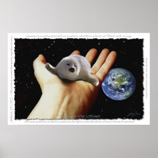 HARP SEAL Protection Earth Day Poster de arte