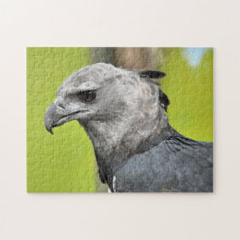 Harpy Eagle Jigsaw Puzzle