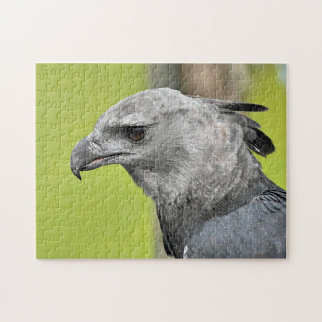 Harpy Eagle Jigsaw Toy Puzzle (Horizontal)
