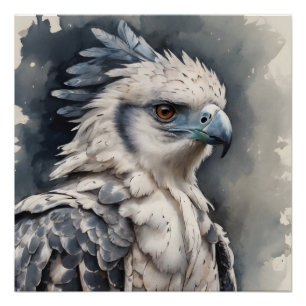 Harpy Eagle no 1 Glossy Poster