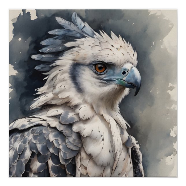 Harpy Eagle no 1 Glossy Poster (Anverso)