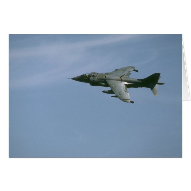 Harrier En El Vuelo (Anverso (Horizontal))