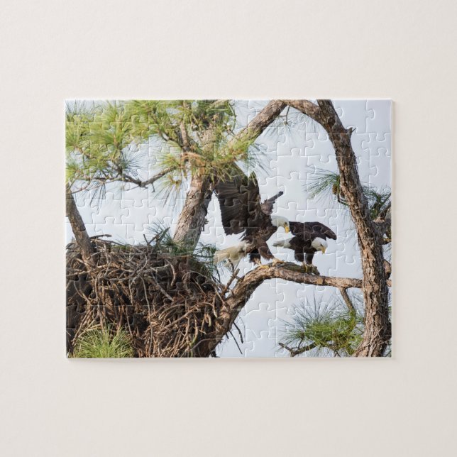 Harriet y rompecabezas de M (Horizontal)