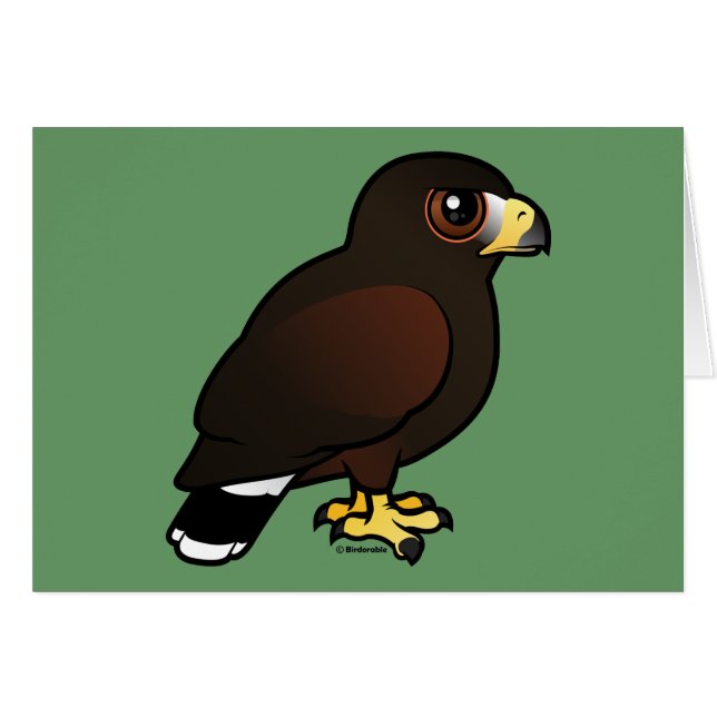 Harris Hawk (Anverso (Horizontal))