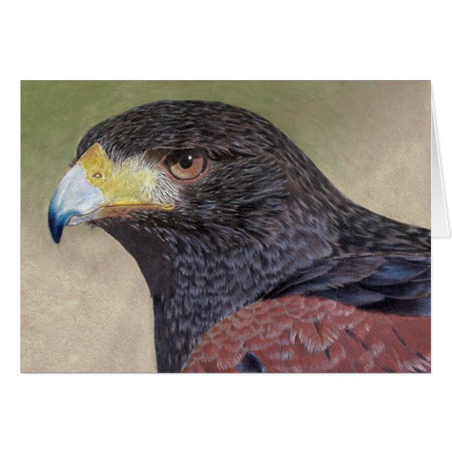 Harris Hawk-cp (Anverso (Horizontal))