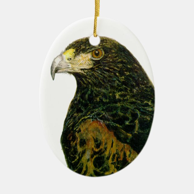 Harris Hawk el ornamento oval (Frente)