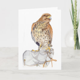 Harris Hawk en tarjeta de cumpleaños del guante