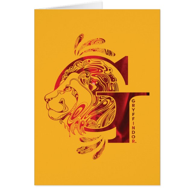 Harry Potter | Gráfico Aguamenti GRYFFINDOR™ (Frente)