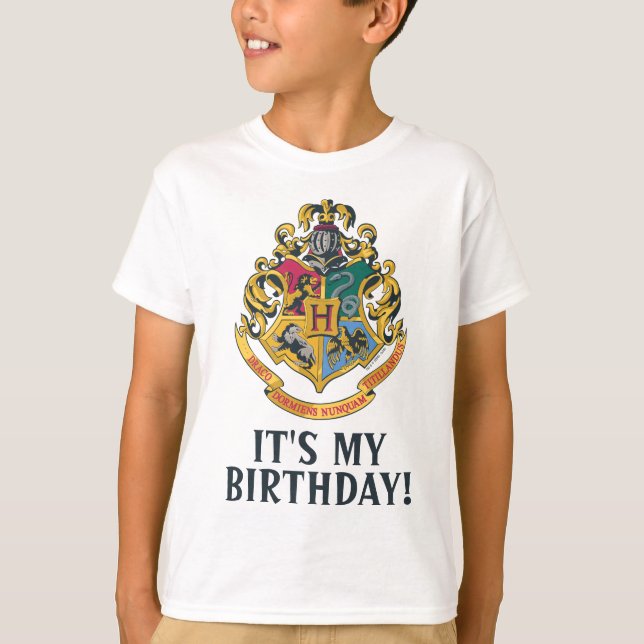 Harry Potter | Hogwarts - Es mi camiseta de cumple (Anverso)