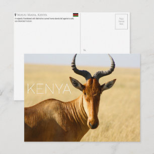 Hartebeest en Masai Mara, Kenia Postal de viaje