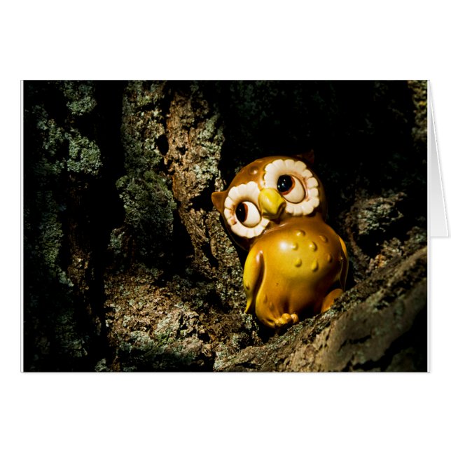 Harvey el búho I (Anverso (Horizontal))