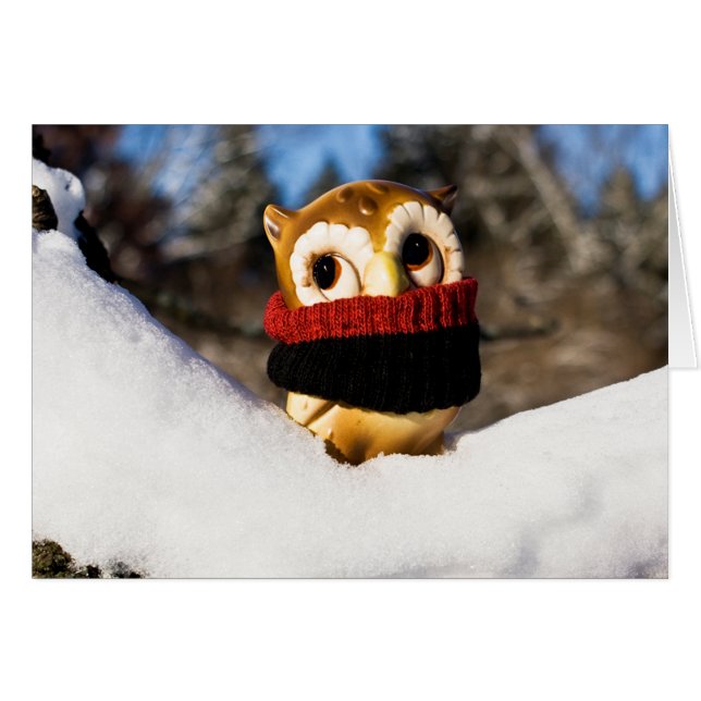 Harvey el búho IV (Anverso (Horizontal))