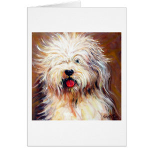 Harvey - perro de ovejas inglés viejo