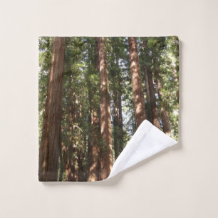 Hasta Redwoods II en el Monumento Nacional Muir Wo