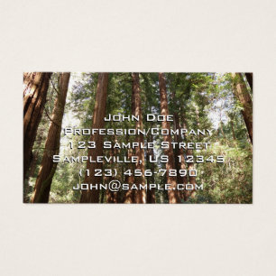 Hasta Redwoods II en el Monumento Nacional Muir Wo