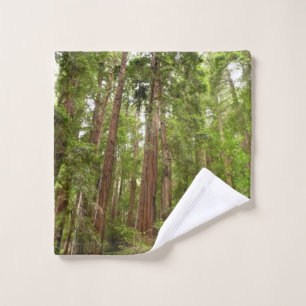 Hasta secuoyas en el Monumento Nacional Muir Woods