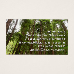 Hasta secuoyas en el Monumento Nacional Muir Woods